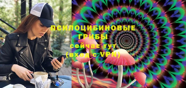 ГАЛЛЮЦИНОГЕННЫЕ ГРИБЫ Аркадак