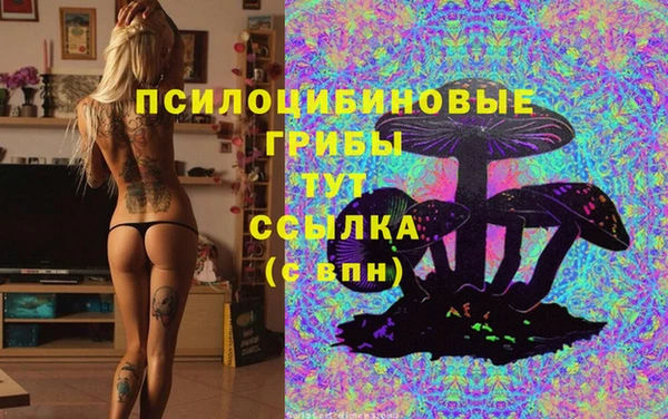 ГАЛЛЮЦИНОГЕННЫЕ ГРИБЫ Аркадак