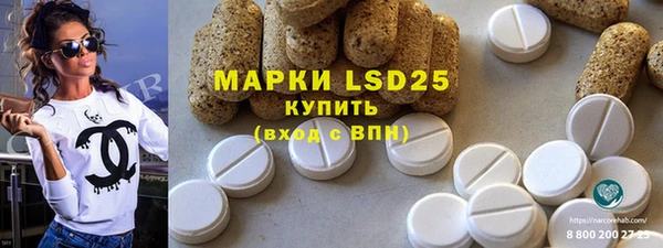 ГАЛЛЮЦИНОГЕННЫЕ ГРИБЫ Аркадак