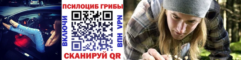 Галлюциногенные грибы Psilocybe Удачный